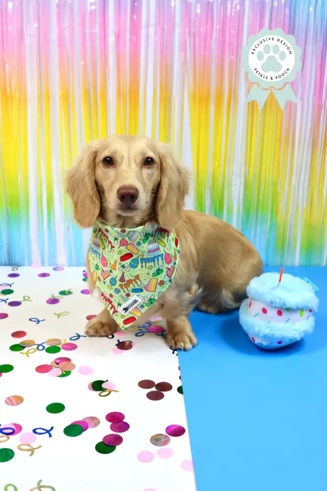 Its My Pawty Bandana Bandanas