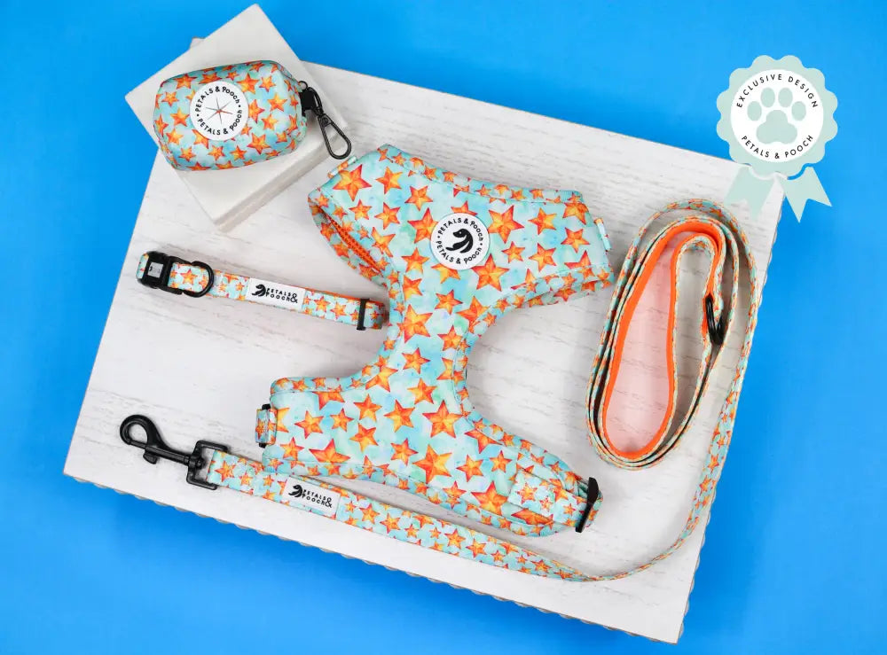 Stella Leash Leashes - Fabric